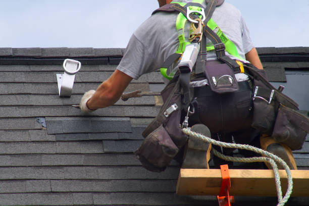 Best Roof Gutter Cleaning  in Northville, MI