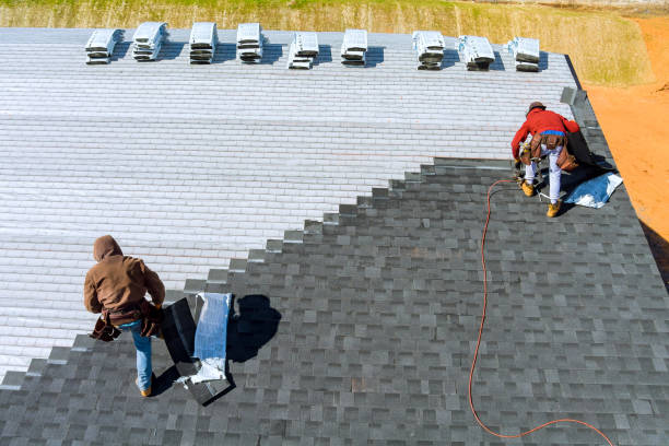 Best Storm Damage Roof Repair  in Northville, MI
